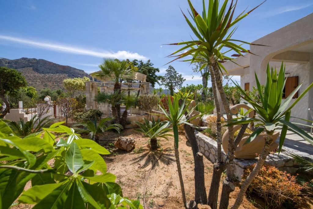 فيلا Renas Secret Garden House خانيا المظهر الخارجي الصورة
