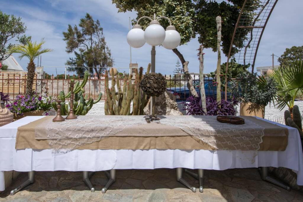 فيلا Renas Secret Garden House خانيا المظهر الخارجي الصورة