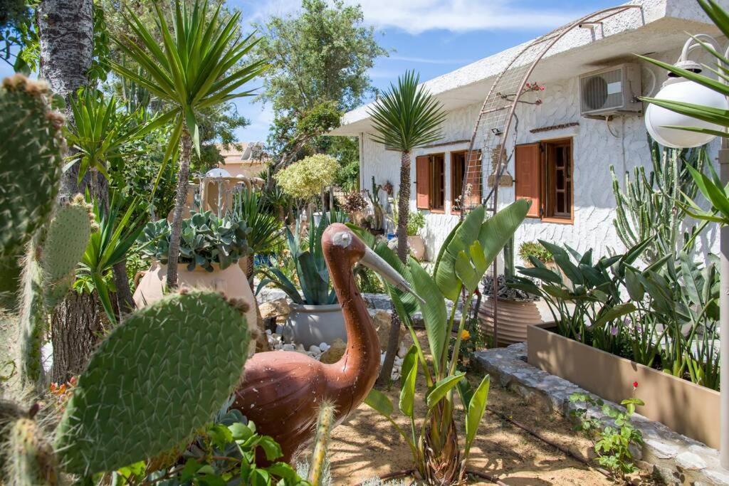 فيلا Renas Secret Garden House خانيا المظهر الخارجي الصورة